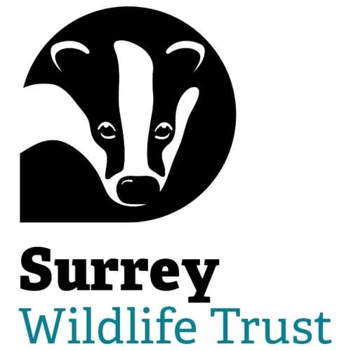 surrey wildlife trust logo