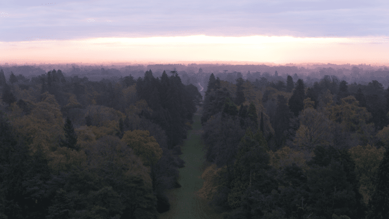 How my passion for conservation led to Skylark's forest garden (and how you can get started on tree planting too)