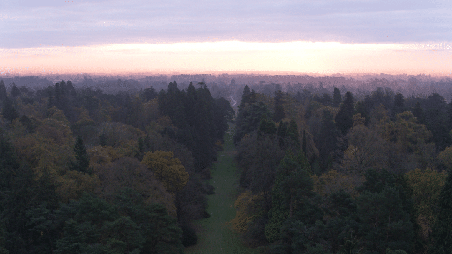 How my passion for conservation led to Skylark's forest garden (and how you can get started on tree planting too)