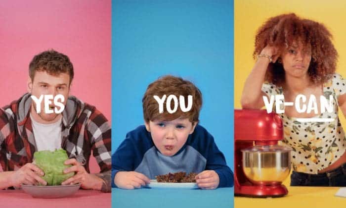 Influencer and UGC content for food brand