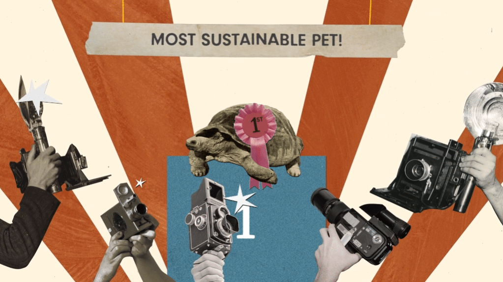 The environmental Impact Of Pets